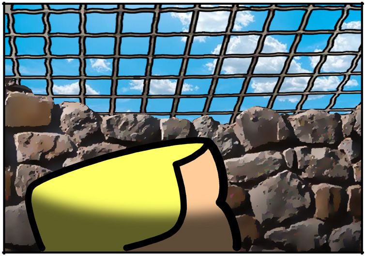 Tom Trapped